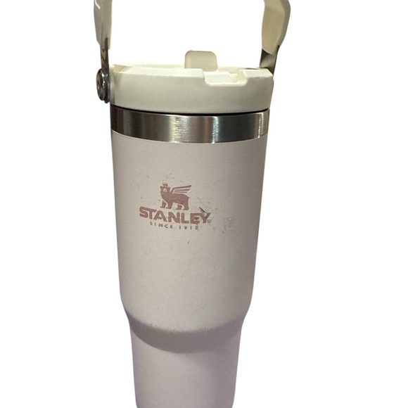 Stanley Cream Color tumbler with Volleyball Design - Picture 3 of 5